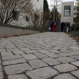 Pavés irréguliers spécials surface flammée