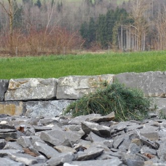 Blocs clivées grossièrement H = 40 cm