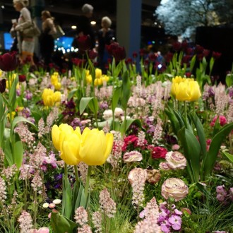 Zürich Giardina 2019