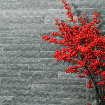 Plaques pour revêtemen