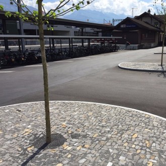 Pavés irréguliers grands